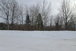 Działka na sprzedaż Rue de l'Amont, Saint-Ferréol-les-Neiges, QC G0A3R0, CA - zdjęcie 1