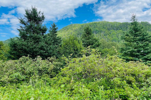 Działka na sprzedaż Route de l'Église, Saint-Maxime-du-Mont-Louis, QC G0E1T0, CA - zdjęcie 1