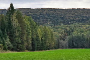 Działka na sprzedaż Ch. St-Joseph, Trois-Rives, QC G0X2C0, CA - zdjęcie 2