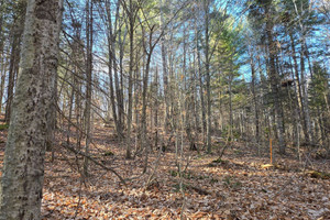 Działka na sprzedaż Ch. du Lac-des-Pins, Rawdon, QC J0K1S0, CA - zdjęcie 3