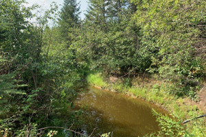 Działka na sprzedaż 202 Mtée Leblanc, Ferme-Neuve, QC J0W1G0, CA - zdjęcie 2