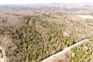 Działka na sprzedaż Mtée Gagnon, Sainte-Marguerite-du-Lac-Masson, QC J0T1L0, CA - zdjęcie 3