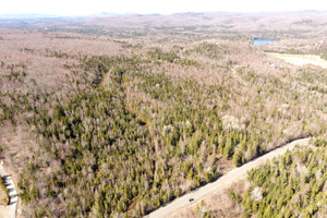 Działka na sprzedaż Mtée Gagnon, Sainte-Marguerite-du-Lac-Masson, QC J0T1L0, CA - zdjęcie 3