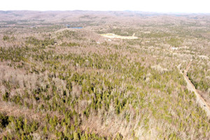 Działka na sprzedaż Mtée Gagnon, Sainte-Marguerite-du-Lac-Masson, QC J0T1L0, CA - zdjęcie 3