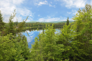 Działka na sprzedaż Mtée des Marguerites, Sainte-Marguerite-du-Lac-Masson, QC J0T1L0, CA - zdjęcie 1