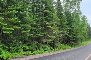 Działka na sprzedaż Ch. du 3e-Rang, Sainte-Lucie-des-Laurentides, QC J0T2J0, CA - zdjęcie 1