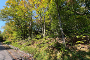 Działka na sprzedaż Ch. du Lac-des-Becs-Scie O., Saint-Sauveur, QC J0R1R1, CA - zdjęcie 2