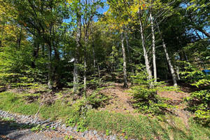 Działka na sprzedaż Ch. du Lac-des-Becs-Scie O., Saint-Sauveur, QC J0R1R1, CA - zdjęcie 3