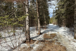 Działka na sprzedaż Ch. de la Belle-Montagne, Saint-Jean-de-Matha, QC J0K2S0, CA - zdjęcie 2