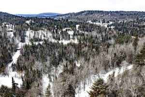 Działka na sprzedaż Rg St-Vincent, Sainte-Béatrix, QC J0K1Y0, CA - zdjęcie 2