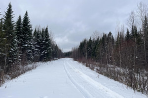 Działka na sprzedaż 10e Rang, Lac-Drolet, QC G0Y1C0, CA - zdjęcie 2