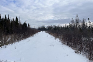 Działka na sprzedaż 10e Rang, Lac-Drolet, QC G0Y1C0, CA - zdjęcie 3