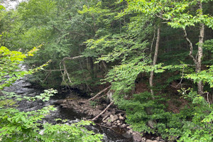 Działka na sprzedaż Ch. du Lac-Blanc, Saint-Ubalde, QC G0A4L0, CA - zdjęcie 1