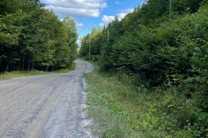 Działka na sprzedaż 2062 Ch. du Lac-Veillette S., Lac-aux-Sables, QC G0X3M0, CA - zdjęcie 2