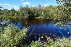 Działka na sprzedaż Rg Procule, Notre-Dame-de-la-Paix, QC J0V1P0, CA - zdjęcie 1