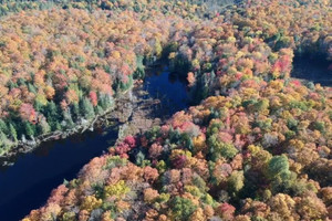 Działka na sprzedaż Ch. du Lac-Doré S., Duhamel, QC J0V1G0, CA - zdjęcie 2