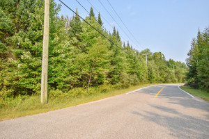 Działka na sprzedaż Route 323, Lac-des-Plages, QC J0T1K0, CA - zdjęcie 3