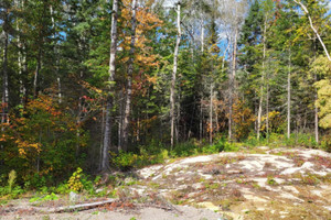 Działka na sprzedaż Mtée du Boisé, Laterrière, QC G7N0B8, CA - zdjęcie 3