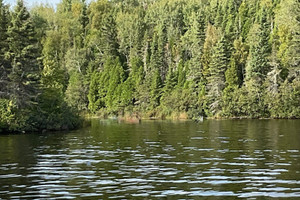 Działka na sprzedaż Ch. des Pionniers, Lac-Kénogami, QC G7X0H9, CA - zdjęcie 2