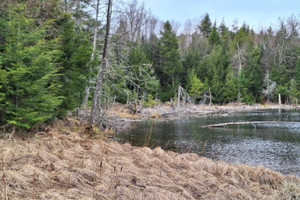 Działka na sprzedaż Ch. du Grand-Poisson-Blanc, Lac-Sainte-Marie, QC J0X1Z0, CA - zdjęcie 2