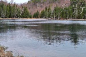 Działka na sprzedaż Ch. du Grand-Poisson-Blanc, Lac-Sainte-Marie, QC J0X1Z0, CA - zdjęcie 1