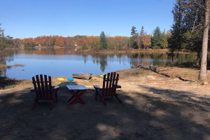 Działka na sprzedaż 71 Île Leblanc, L'Isle-aux-Allumettes, QC J0X1M0, CA - zdjęcie 3