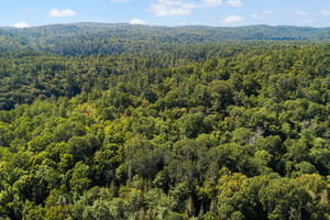 Działka na sprzedaż Ch. Philippe, Otter Lake, QC J0X2P0, CA - zdjęcie 1