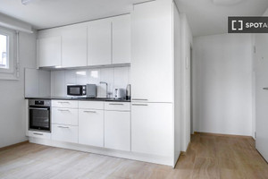 Mieszkanie do wynajęcia 32m2 Zurich - zdjęcie 3