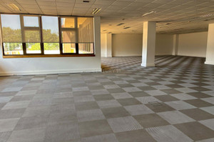 Komercyjne do wynajęcia 250m2 - zdjęcie 2