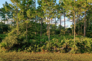 Działka na sprzedaż 71 Sea Trail, Flagler County, FL - zdjęcie 2