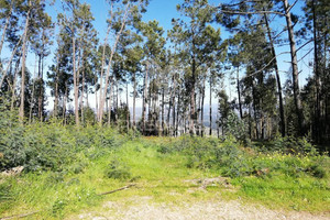 Działka na sprzedaż Coimbra Miranda do Corvo Semide e Rio Vide - zdjęcie 2