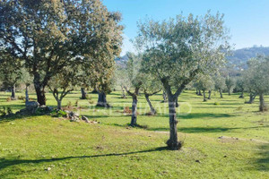 Działka na sprzedaż Portalegre Castelo de Vide Santa Maria da Devesa - zdjęcie 2