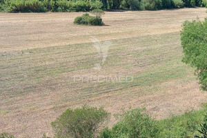 Działka na sprzedaż Santarm Santarm Pernes - zdjęcie 1