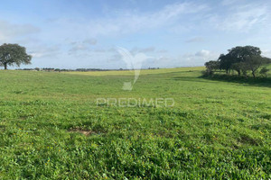 Działka na sprzedaż Beja Ferreira do Alentejo CANHESTROS - zdjęcie 3