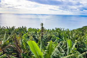 Działka na sprzedaż Madera Ribeira Brava Ribeira Brava - zdjęcie 2