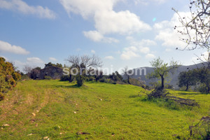 Dom na sprzedaż 76m2 Faro Olhao - zdjęcie 2