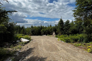 Działka na sprzedaż Ch. du Domaine, Sainte-Euphémie-sur-Rivière-du-Sud, QC G0R2Z0, CA - zdjęcie 3