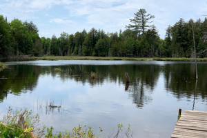 Działka na sprzedaż Ch. du Lac-de-la-Grange, Amherst, QC J0T2T0, CA - zdjęcie 3