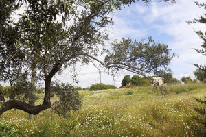 Działka na sprzedaż Faro Tavira - zdjęcie 2