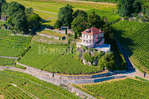 Dom na sprzedaż 600m2 - zdjęcie 1