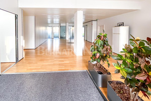 Komercyjne do wynajęcia 289m2 Rue Saint-Louis - zdjęcie 3