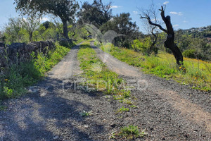 Działka na sprzedaż Faro Tavira Santa Catarina da Fonte do Bispo - zdjęcie 3