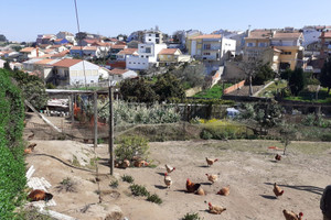 Działka na sprzedaż Porto Matosinhos - zdjęcie 3