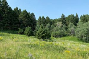 Działka na sprzedaż TBD Moose Meadows Road, Park County, MT - zdjęcie 2