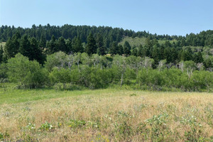 Działka na sprzedaż TBD Moose Meadows Road, Park County, MT - zdjęcie 3