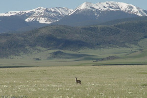 Działka na sprzedaż Lot 108 Holding Pen, Madison County, MT - zdjęcie 1