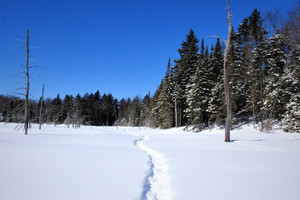 Działka na sprzedaż Rue du Lac-Racette, Sainte-Marguerite-du-Lac-Masson, QC J0T1L0, CA - zdjęcie 1