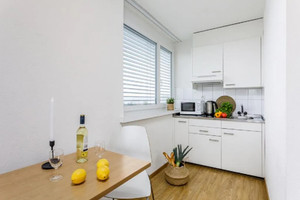 Mieszkanie do wynajęcia 23m2 Zurich Friesstrasse - zdjęcie 3