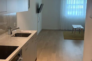 Mieszkanie do wynajęcia 50m2 Zurich Gubelstrasse - zdjęcie 1