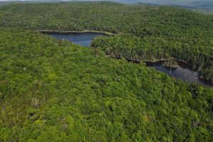 Działka na sprzedaż Ch. du Lac-Pelletier, Wentworth-Nord, QC J0T1Y0, CA - zdjęcie 1